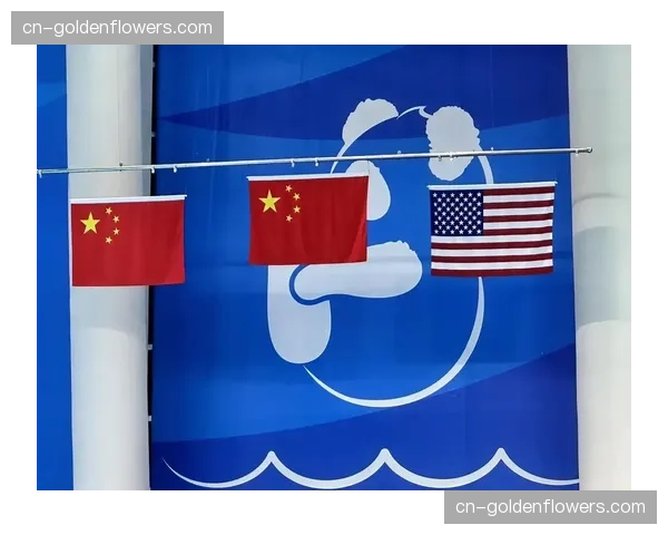 世界游泳锦标赛：中国跳水队包揽女子三米板单双人项目金银牌